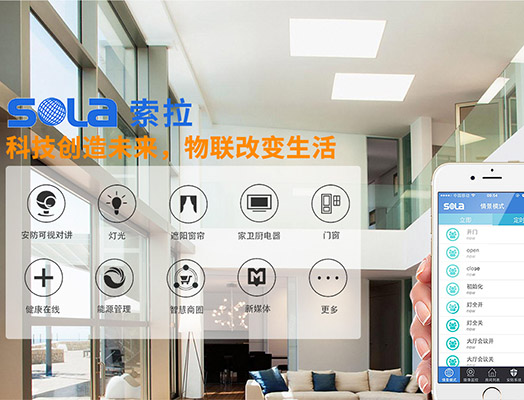 第十三屆全國(guó)人大指出“發(fā)展智能產(chǎn)業(yè)，拓展智能生活”